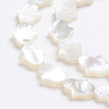 Natural White Shell Mother of Pearl Shell Beads X-SSHEL-L017-006-2