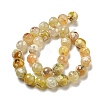 Faceted Natural Fire Crackle Agate Beads Strands G-F447-12mm-H01-3