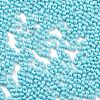 Opaque Colours Glass Seed Beads SEED-A033-06J-3