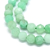 Natural Chrysoprase Beads Strands G-G106-C01-03-3