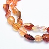 Natural Carnelian Beads Strands G-G765-52-3