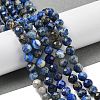 Natural Lapis Lazuli Beads Strands G-G189-D03-07-2