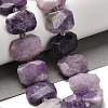 Natural Lepidolite Beads Strands G-H078-B14-01-2