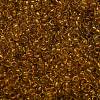 TOHO 6/0 Round Beads SEED-XTR06-2155-3