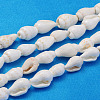 Natural Trumpet Shell Beads Strands X-S02KI011-1