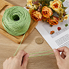 100M Jute Cord OCOR-SP0001-35A-3