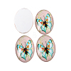 Butterfly Printed Glass Oval Cabochons X-GGLA-N003-20x30-C22-2