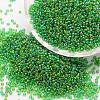 8/0 Round Glass Seed Beads SEED-J011-F8-167-1