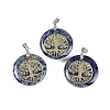 Natural Blue Spot Jasper Flat Round Pendants G-Q188-01P-12-1