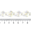 Transparent Glass Enamel Beads Strands GLAA-B021-06L-4