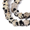 Natural Dalmatian Jasper Beads Strands GG-N002-02A-02-4