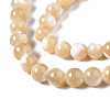 Natural Trochid Shell/Trochus Shell Beads Strands X-SSHEL-S266-023B-02-3