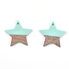 Resin & Wood Pendants X-RESI-T023-23C-2
