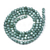 Natural Freshwater Shell Beads Strands BSHE-T009A-01J-2