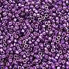MIYUKI Delica Beads LS-X-SEED-J020-DB2508-2
