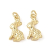 Brass Pendants KK-L245-03G-01-1