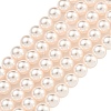 Glass Pearl Beads Strands HY-G002-01C-03-1