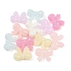 Plastics Beads KY-B005-05B-1