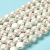 Natural Cultured Freshwater Pearl Beads Strands PEAR-E017-22-2