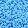 TOHO 6/0 Round Beads SEED-TR06-0043F-2