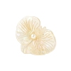 Acrylic with Plastic Pearl Claw Hair Clips PW-WGB2B65-02-1