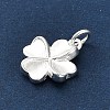 925 Sterling Silver Charms FIND-Z069-04S-C-3