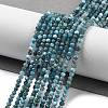 Natural Apatite Beads Strands G-G140-A15-07-2