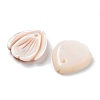 Natural Freshwater Shell Pendants SHEL-D082-04A-2