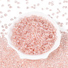 Transparent Colours Luster Glass Seed Beads SEED-N008-09H-2