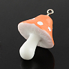 Resin Pendants RESI-S295-06-2