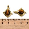 Natural Tiger Eye Faceted Pendants G-C096-02G-06-3