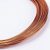 Aluminum Wires AW-AW10x1.0mm-12-2