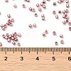 Electroplate Glass Seed Beads SEED-S042-01B-14-4