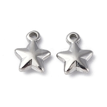 304 Stainless Steel Charms STAS-C066-19P