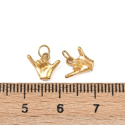 304 Stainless Steel Charms X-STAS-G364-09G-1