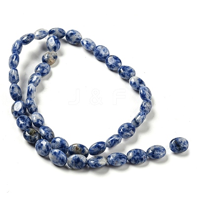 Natural Blue Spot Jasper Beads Strands G-M420-D08-01-1