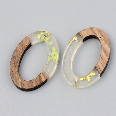 Transparent Resin & Walnut Wood Pendants RESI-S389-022A-D01-1