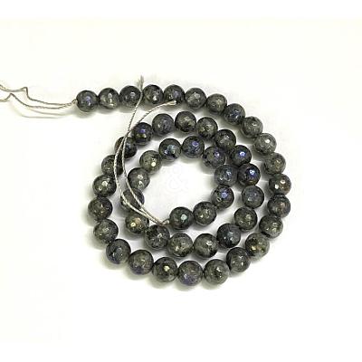 Electroplate Natural Labradorite Beads Strands G-L150-8mm-01-1