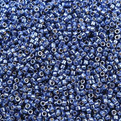 MIYUKI Delica Beads SEED-MY11-DB2517-1