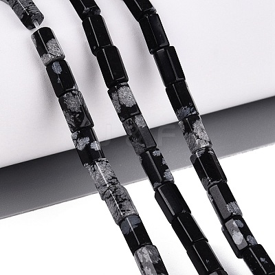Natural Snowflake Obsidian Beads Strands GG-N002-01A-05-1