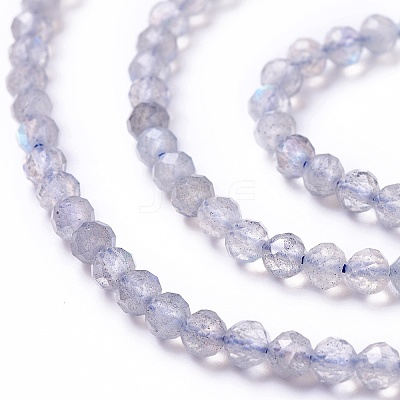 Natural Labradorite Beads Strands G-L581A-002-1