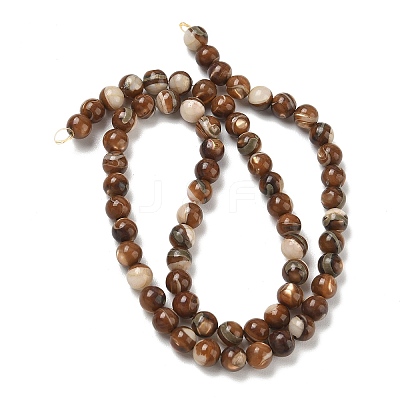 Natural Trochus Shell Beads Strands SH-CBAFEDD-02A-1