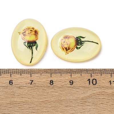 Transparent Resin Cabochons RESI-K033-11B-1
