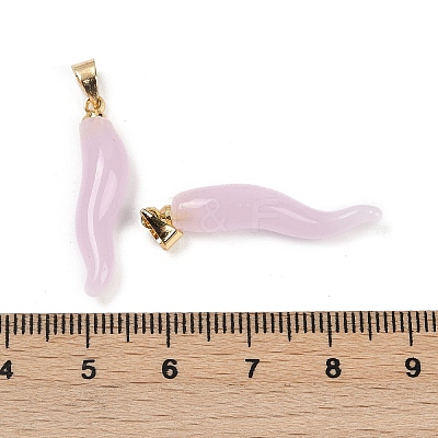 Handmade Lampwork with Brass Pendants KK-Q095-02B-08-1