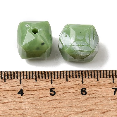 Opaque Acrylic Imitation Gemstone Beads OACR-G061-03A-1