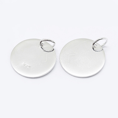 925 Sterling Silver Pendants STER-K167-006D-S-1