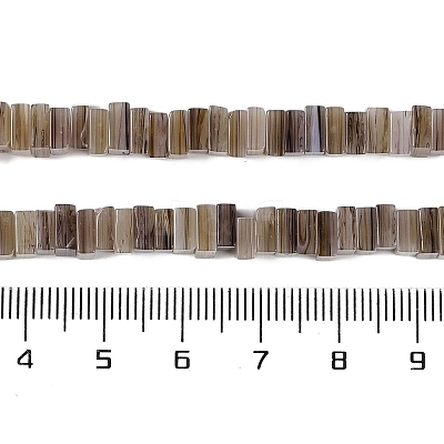 Handmade Lampwork Beads Strands LAMP-Q037-02B-13-1