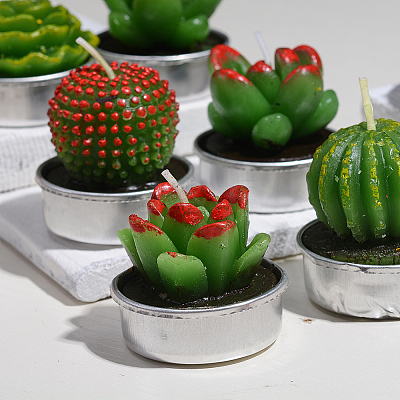 Cactus Paraffin Smokeless Candles DIY-G024-F-1