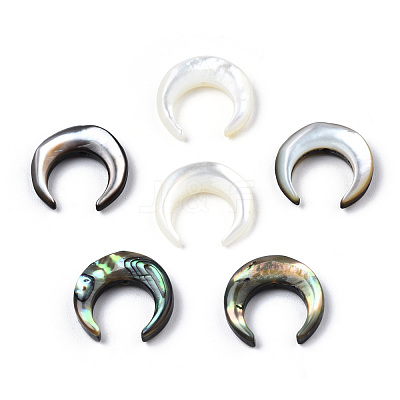 Natural Shell Bead sets SSHEL-N034-122B-1