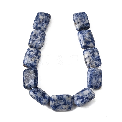 Natural Blue Spot Jasper Beads Strands G-S386-A05-1
